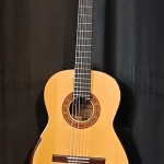 cc-elevated-fingerboard-3