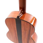 concert-classical-cgs-10