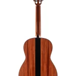 concert-classical-cgs-2