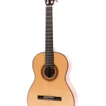 concert-classical-cgs-5