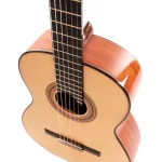 concert-classical-cgs-6